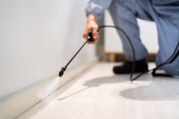 Licensed Wasp Removal service in Nashville, NC - Show Me Pest Control