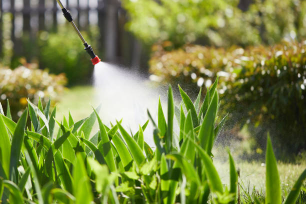 24/7 Emergency Wasp Removal experts in Nashville, NC