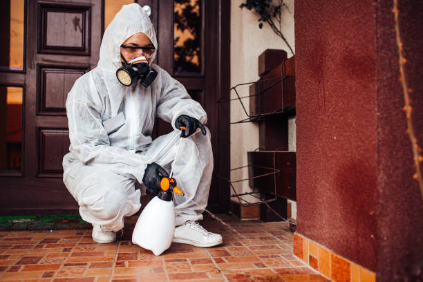 Reliable Wasp Removal contractor in Nashville, NC by Show Me Pest Control